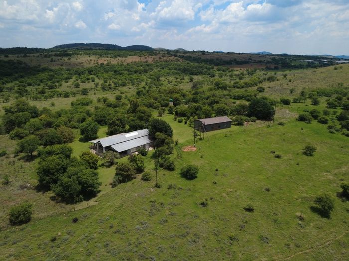 Spacious 59-hectare farm in Parys Central, for sale with diverse amenities.