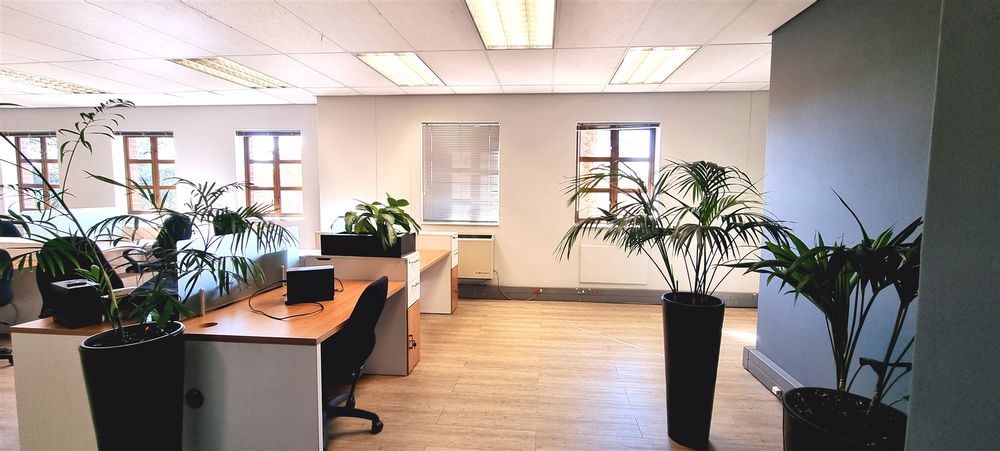 5 Autumn Street-Rivonia-Baobab House (3)