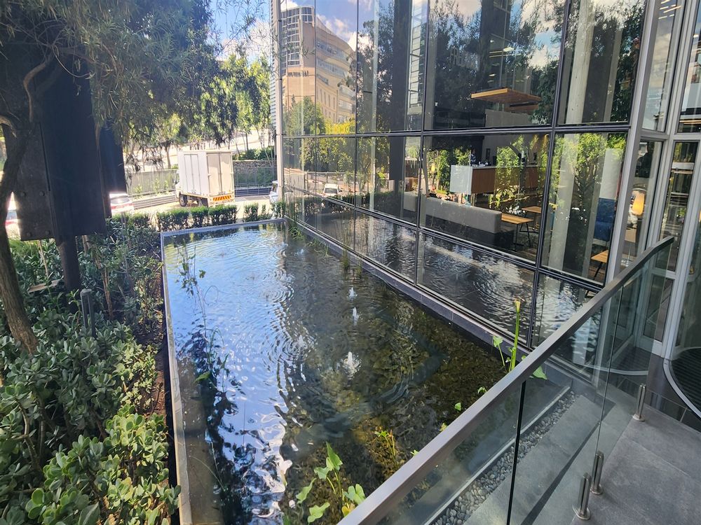 16 Fredman Drive - Sandton - Water Feature