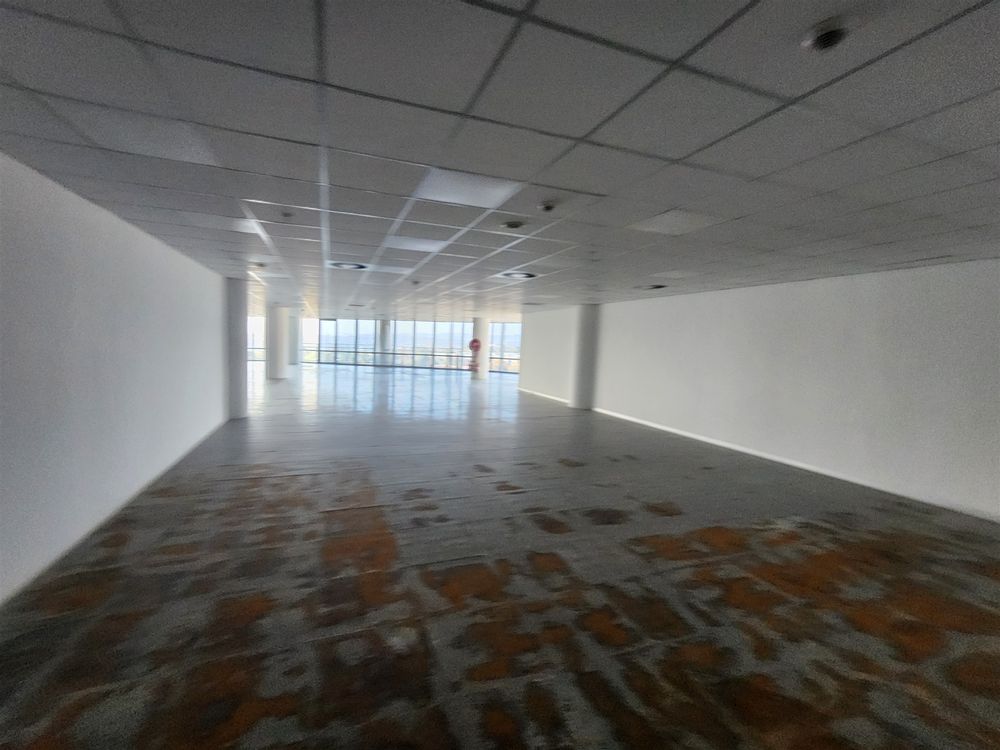 102 Rivonia Rd-Sandton- 6th fl 375.79m² (1