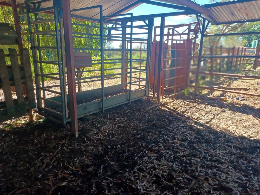 scale and neck clamp