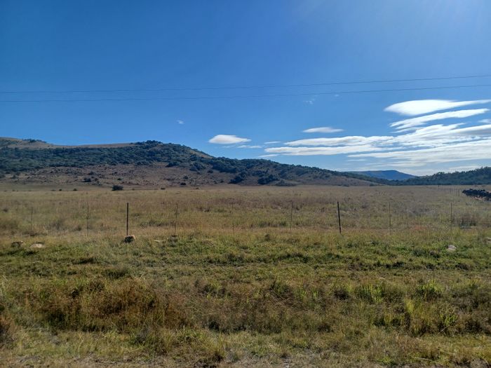 Newcastle Rural Farm For Sale: 4 grazing camps, water access, natural forest.