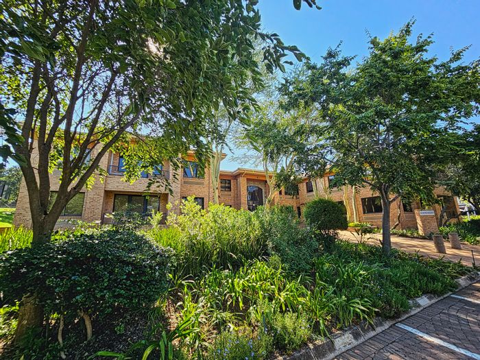 Bryanston Office To Rent: Open plan, backup water, generator, negotiable parking.