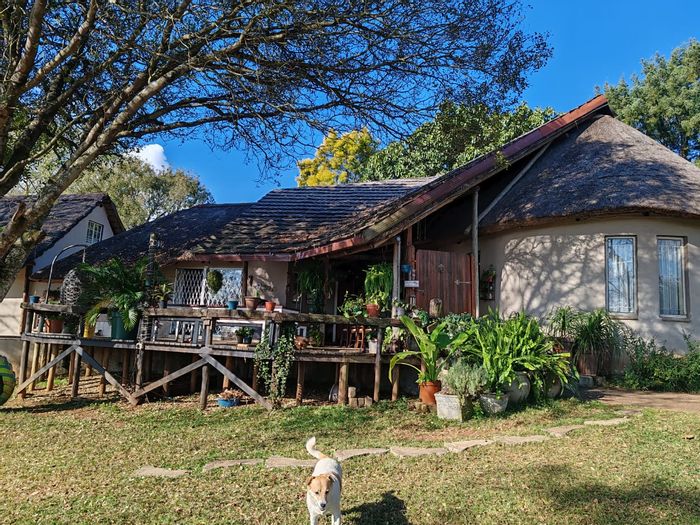 Elim Farm For Sale: Riverfront access, two houses, wildlife haven, and water supply.