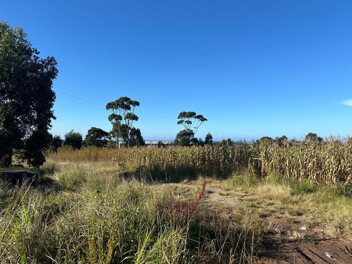 Graceland Vacant Land Commercial For Sale: 6.216 hectares near transport routes, airport access.
