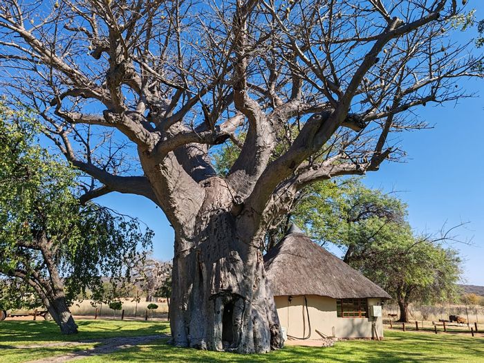 Farm for Sale in Musina Rural: 9 chalets, boreholes, game included, entertainment area.