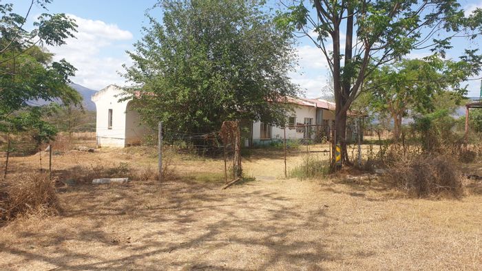 For Sale: Barberton Rural Farm with 7 residential units and 7 hectares of pecan trees.