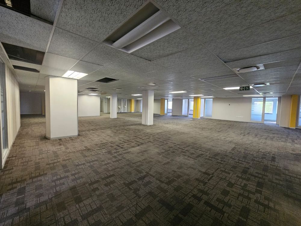 Large open-plan area