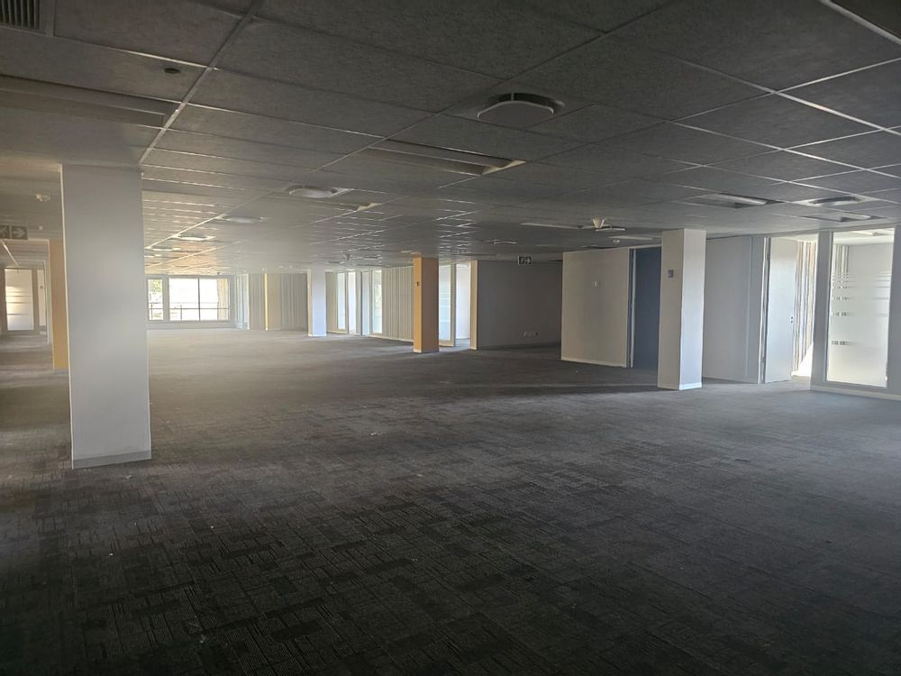 Large open-plan area