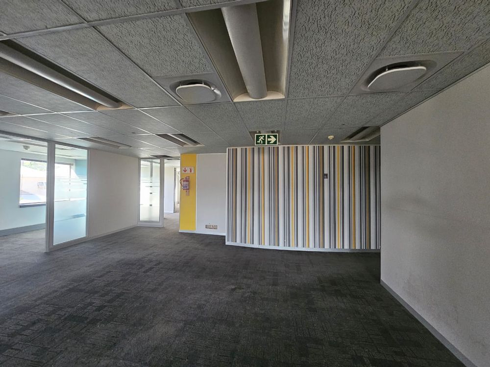 Large open-plan area