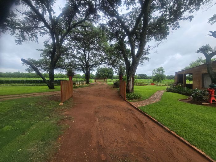 For Sale: 8.6-hectare farm in Cullinan Rural with multiple homes and strong water supply.