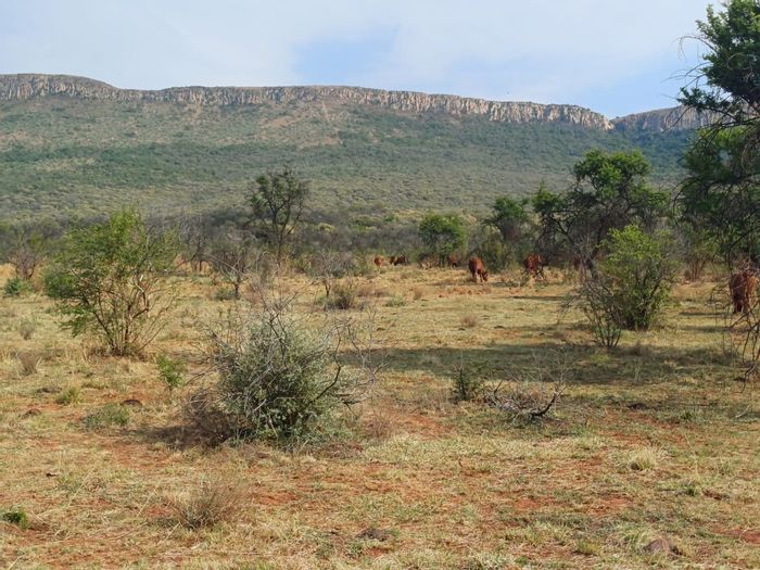 For Sale: Agricultural Holding 501 Farm with abundant water, grazing land, and multiple homes.