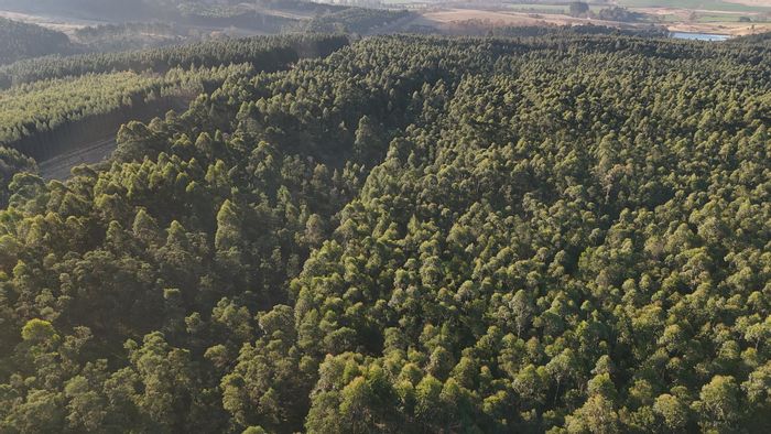 Karkloof Farm For Sale: Prime land with water access and flexible use options.