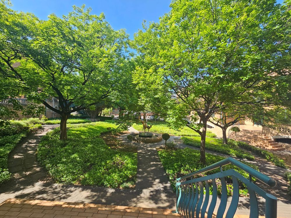 Communal garden between office buildings