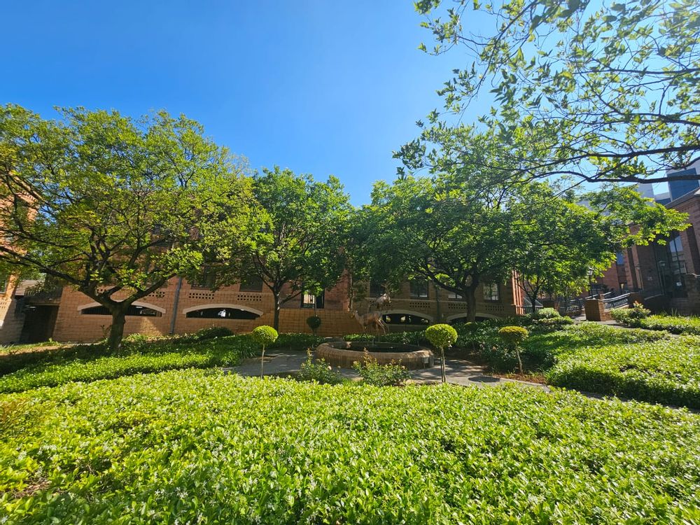 Curated communal garden