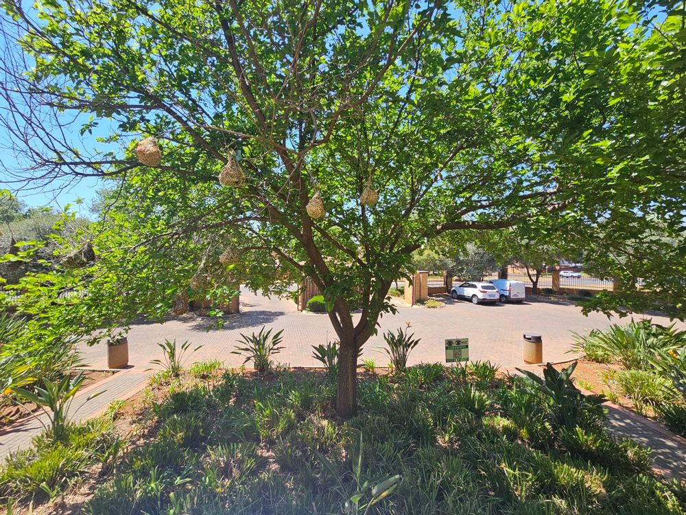 Outside parking area