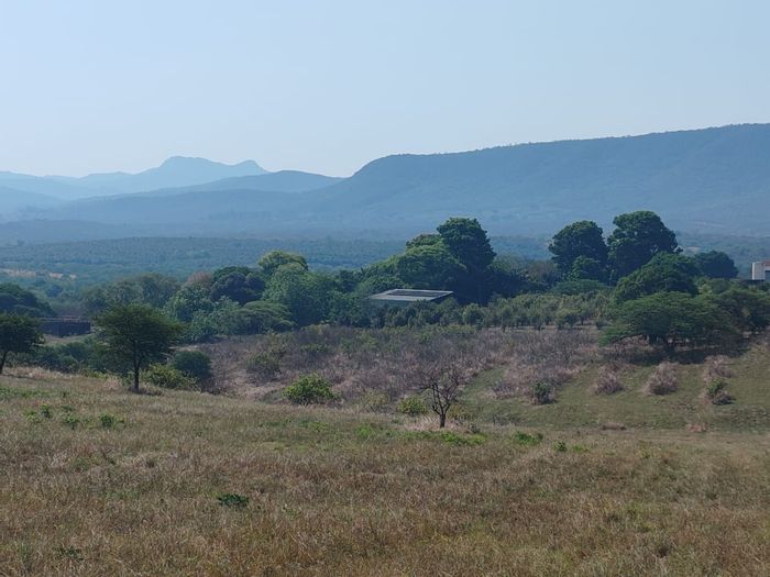 Levubu Farm For Sale: Sawmill, stone house, boreholes, and cleared land available.
