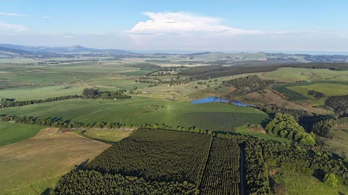 Karkloof For Sale: 20ha commercial land with timber, views, and building potential.