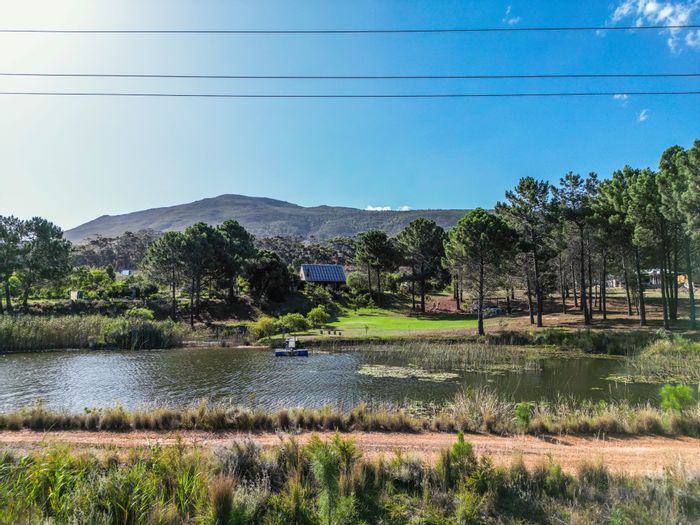 For Sale: 67ha Farm in Bot River Central with water rights and olive groves.