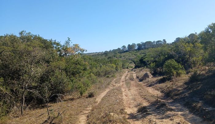 For Sale: Productive 259 ha farm in Bathurst Rural with solar power, water supply.