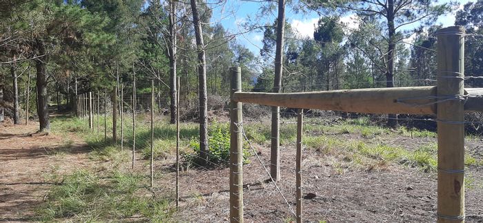 Farm for Sale in Friemersheim: Land with new fencing, access gates, and growth potential.