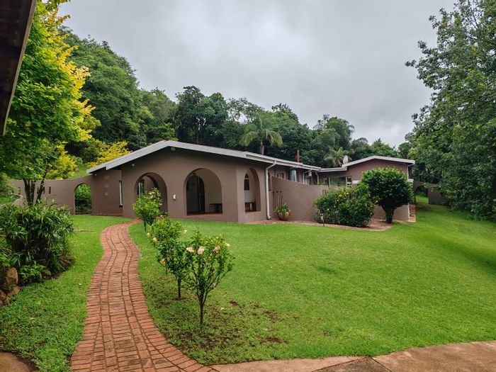 For Sale: Farm in Louis Trichardt Rural with expansive grounds, security, and avocado potential.