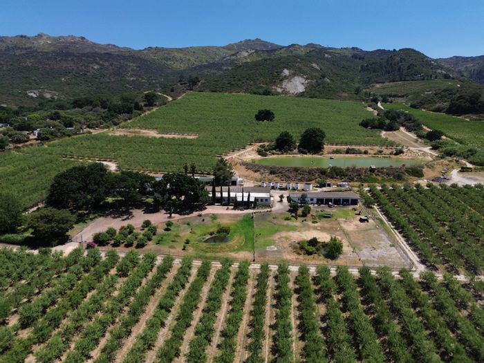 Paarl Rural Farm For Sale: 56ha with almonds, homestead, and staff accommodation.