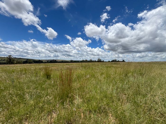 Naauwpoort Farm For Sale: Spacious home, fenced property, ideal for your lifestyle.