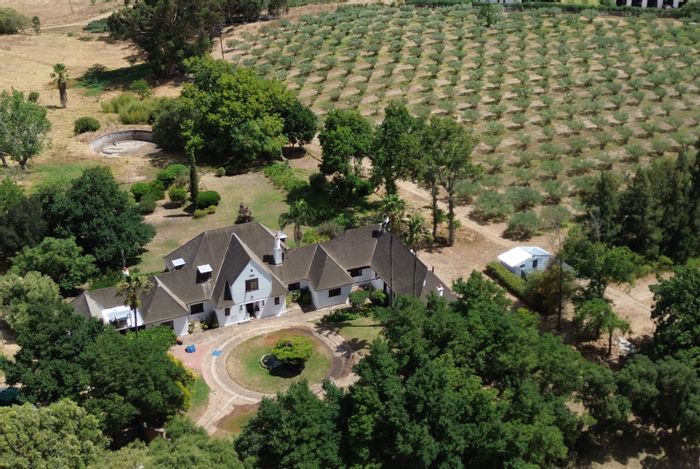 Wellington Rural Farm For Sale: Goat and olive enterprise with extensive infrastructure.