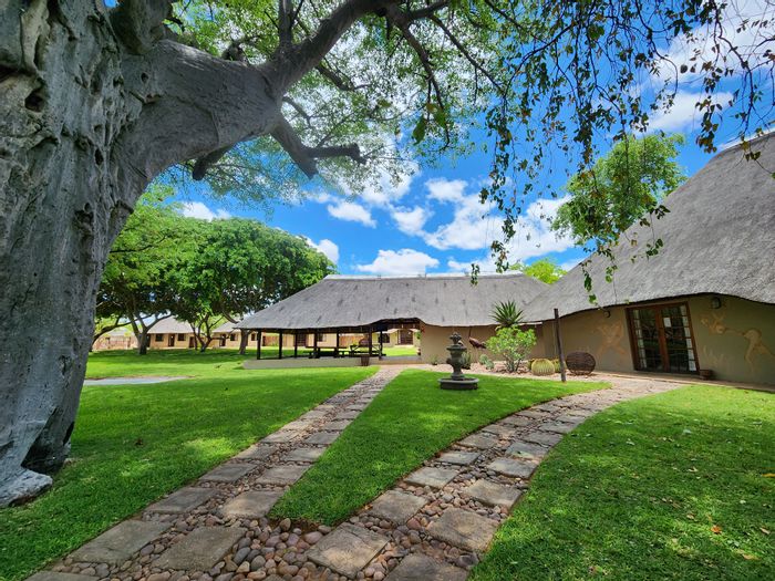 For Sale: Mopane Farm with lodge, game fencing, irrigation, and abundant wildlife.