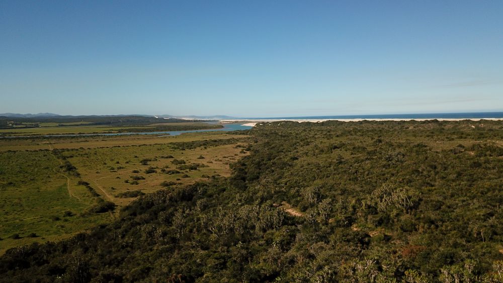 View of Gamtoos River