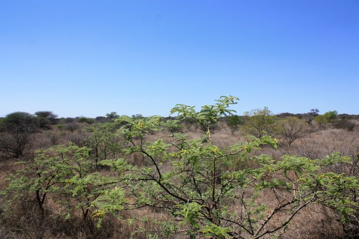 8.5 Hectare Small Holding in Kalkfontein AH For Sale with borehole and development potential.