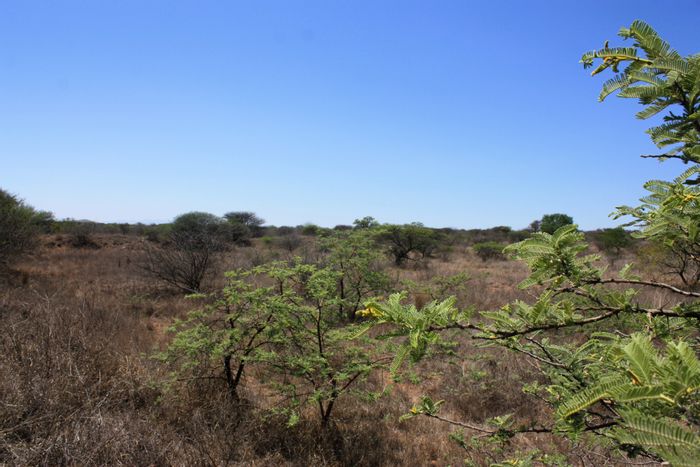 8.5 Hectare Small Holding For Sale in Kalkfontein AH, ideal for Business Development.