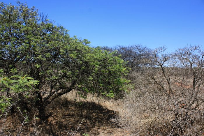 Kalkfontein AH Small Holding For Sale: 55 plots near R71, bulk services available.