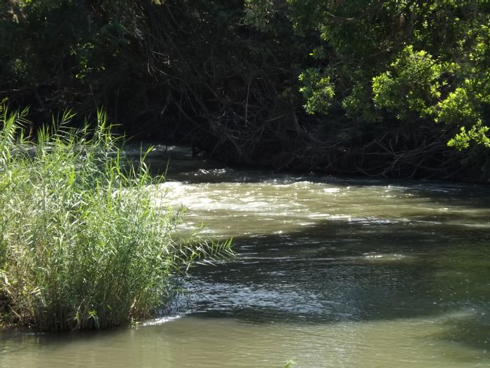 For Sale: Nelspruit Rural Farm with macadamia enterprise, 3 beds, 2 baths.