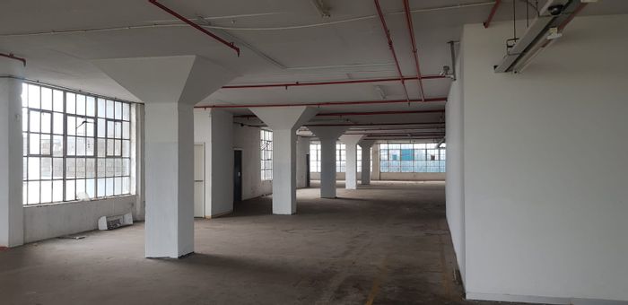 Industrial Space to Rent in Greyville: 236m², goods lifts, 24-hour security.