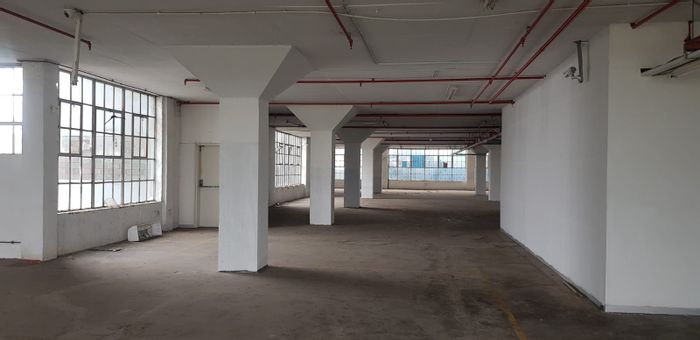 Industrial Space To Rent in Greyville: 500m², lifts, loading bay, 24-hour security.
