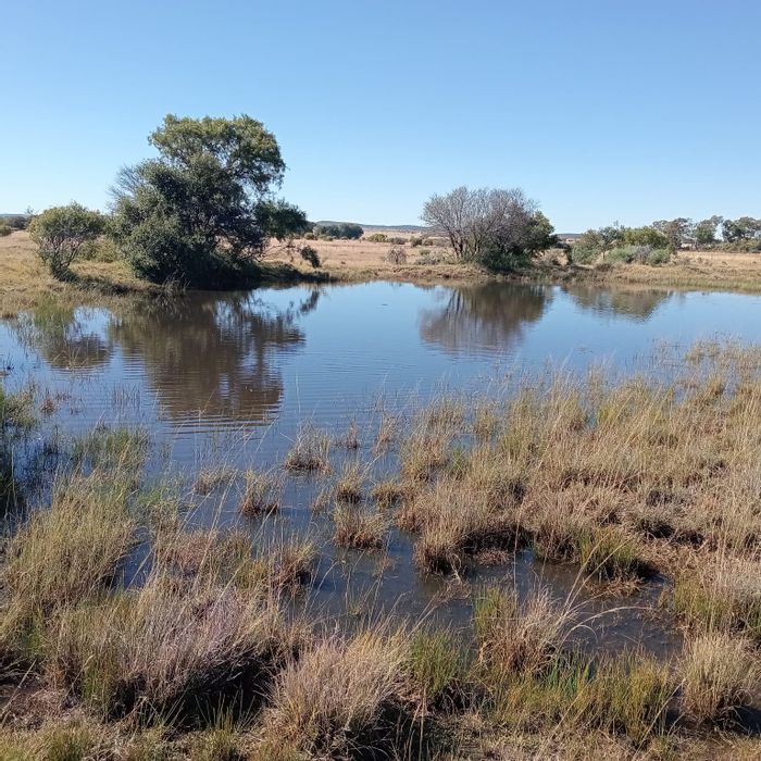 For Sale: 266-hectare farm in Lebaleng with water resources and grazing potential.