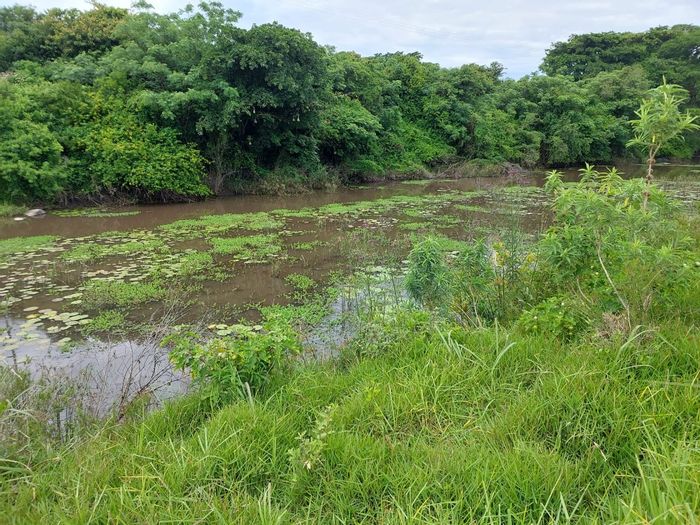 Gonubie Vacant Land Residential For Sale: Eco Estate, off-grid living, spacious plots.