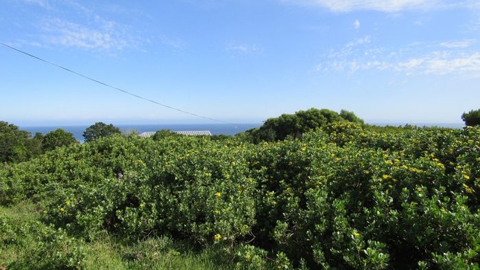 Vacant Land Residential in Oyster Bay Central for Sale with sea views.