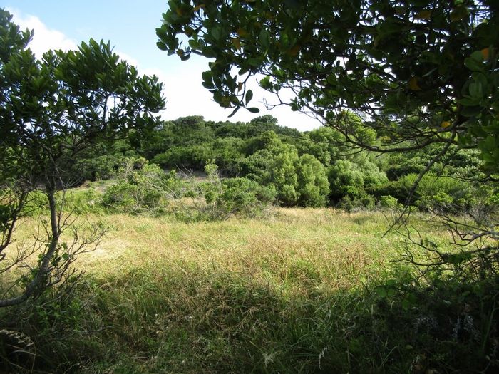Vacant Land Residential for Sale in Paradise Beach, 759m² near nature and beach.