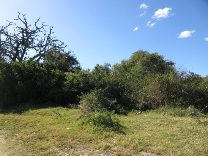 Vacant Land Residential For Sale in Bathurst Central, near Marico Park and amenities.