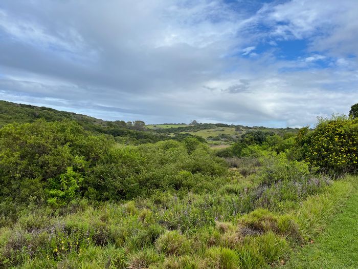 Vacant Land Residential for Sale in West Bank with sea views and security.