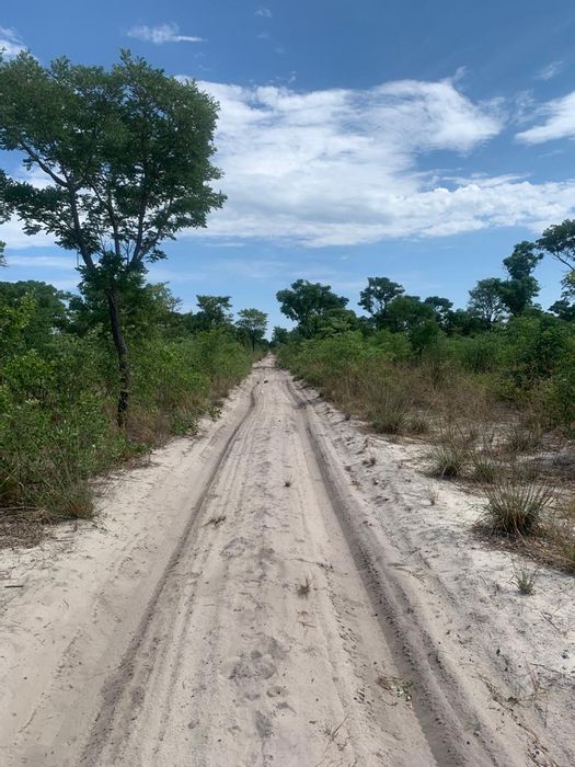 Farm for Sale in Rundu Central: Wildlife sanctuary, boreholes, cattle kraals, leasehold land.