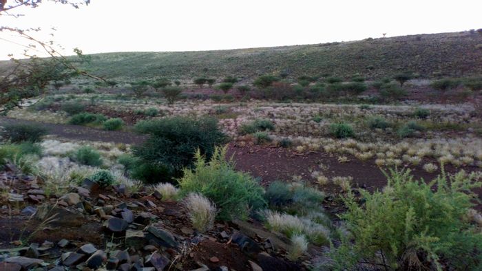Karasburg Central Farm For Sale: Versatile land, solar power, water supply, livestock security.
