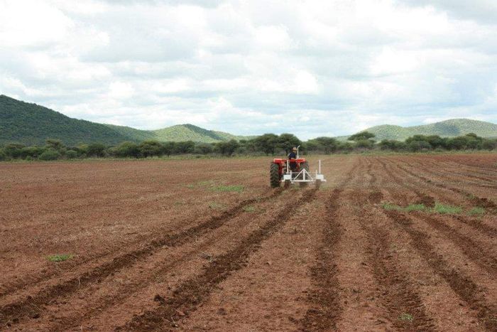 For Sale: Otavi Central Small Holding with main house, outbuildings, and boreholes.