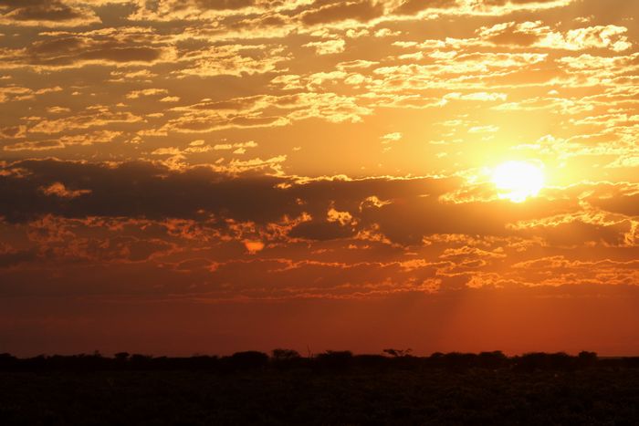 Farm for Sale in Otavi Central: Worker’s house, boreholes, grazing land available.