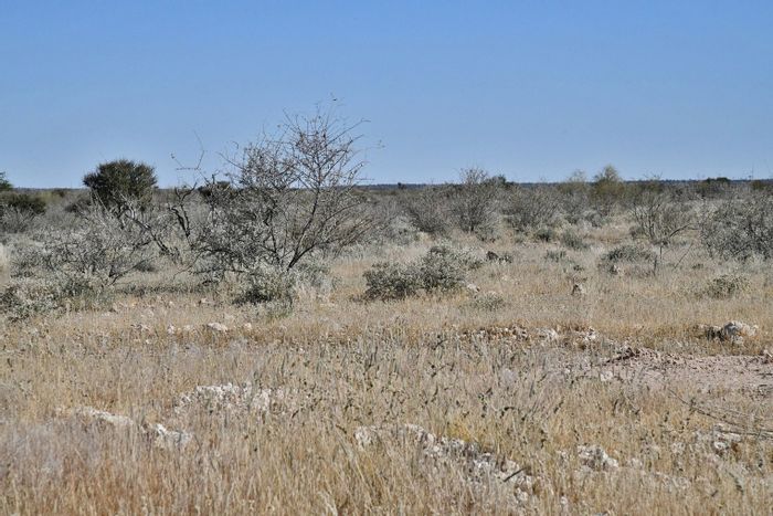 For Sale: Small Holding in Stampriet Central with water connection and community access.