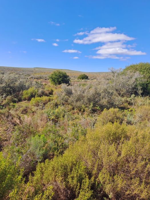 Montagu Central Farm For Sale: 314 hectares, prime location, endless development potential.
