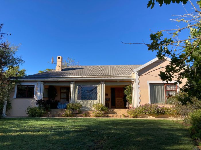 Olive farm in Barrydale Central for sale, includes equipment and rental cottages.